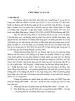 Đánh giá hiệu quả điều trị sỏi đường mật trong và ngoài gan bằng phẫu thuật tạo đường hầm ống mật chủ – túi mật – da