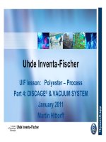 Discage Reactor  spray  vacuum   final Polyester reactor Polymer PET