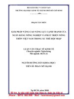 Giải pháp nâng cao năng lực cạnh tranh của Ngân hàng Nông nghiệp và Phát triển Nông thôn Việt Nam trong xu thế hội nhập