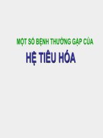 MỘT SỐ BỆNH THƯỜNG GẶP CỦA HỆ TIÊU HÓA