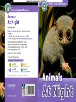 Animals at night oxford read and discover   level 4 