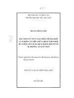 Đặc tính nứt nẻ của đá móng mỏ bạch hổ và nghiên cứu điều chế TAMPON thích hợp để chống mất dung dịch trong đới nứt nẻ dị thường