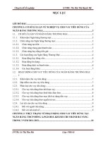 Thực trạng hoạt động cho vay tiêu dùng tại Ngân hàng TMCP Đông Á PGD Hoà Khánh chi nhánh Đà Nẵng qua ba năm 20112013