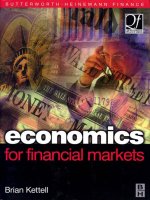 Economics for financial markets by brian kettell 