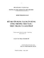 luận văn thạc sĩ Rủi ro tín dụng tại Ngân hàng Công thương Việt Nam – Thực trạng và giải pháp
