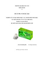Nghiên cứu về đặc điểm thực vật, thành phần hóa học, tác dụng dược lý của cây chè dung symplocos racemosa roxb. dự kiến dạng bào chế, bao bì đóng gói
