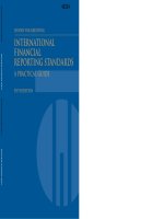 International financial reporting standards 5e by hennie van greuning 