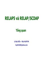 Tổng quan về RELAP5 và RELAPSCDAP