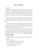 Luận văn nghiên cứu quá trình lên men lactic từ mật rỉ đường