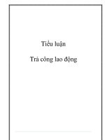 Tiểu luận trả công lao động   luận văn, đồ án, đề tài tốt nghiệp 