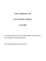 Khảo sát công nghệ và độ bền sản phẩm chất màu tự nhiên từ đài hoa bụp giấm 