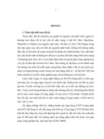 Ứng dụng công nghệ thông tin phục vụ phát triển kinh tế  xã hội tỉnh Vĩnh Phúc  Thực trạng và giải pháp