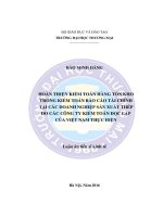 Hoàn thiện kiểm toán hàng tồn kho trong kiểm toán bảo cáo tài chính tại các doanh nghiệp sản xuất thép do các công ty kiểm toán độc lập của Việt Nam thực hiện (Toàn văn LA tiến sĩ)