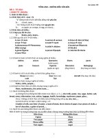 Tổng hợp ngữ pháp toeic ngắn gọn, dễ hiểu nhất (grammar   900 MP)