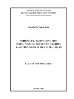 Nghiên cứu, tách và xác định lượng nhỏ các nguyên tố đất hiếm bằng phương pháp điện di mao quản