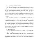 Duong loi  cách mạng đảng cộng sản việt nam