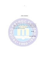 PHÁT TRIỂN NĂNG LỰC QUẢN LÝ CỦA ĐỘI NGŨ CHỦ DOANH NGHIỆP NHỎ VIỆT NAM TRONG GIAI ĐOẠN HIỆN NAY – NGHIÊN CỨU ĐIỂN HÌNH TRÊN ĐỊA BÀN HÀ NỘI (LA tiến sĩ)