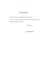 Hoàn thiện thanh tra diện rộng của Thanh tra Chính phủ trong thực hiện chính sách xã hội