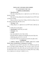 TÀI LIỆU THAM KHẢO   BÀI GIẢNG LỊCH sử ĐẢNG, THẮNG lợi VÀ BÀI HỌC KINH NGHIỆM CỦA CÁCH MẠNG VIỆT NAM