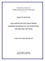 Hạn chế rủi ro giao dịch nhằm phát triển dịch vụ Internet banking trong các Ngân hàng Thương Mại Việt Nam