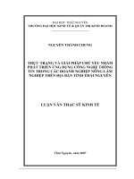 luận văn thạc sĩ Thực trạng và giải pháp chủ yếu nhằm phát triển ứng dụng công nghệ thông tin trong các doanh nghiệp nông lâm nghiệp trên địa bàn tỉnh Thái Nguyên