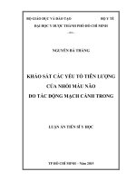 Khảo sát các yếu tố tiên lượng của nhồi máu não do tắc động mạch cảnh trong