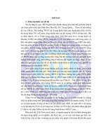 Quản lý nhà nước đối với thương mại các sản phẩm thực phẩm chức năng trên thị trường Việt Nam (LA tiến sĩ)