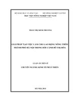 Giải pháp tạo việc làm cho lao động nông thôn Thành phố Hà Nội trong bối cảnh đô thị hóa