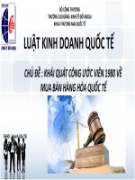 Khái Quát Về Công Ước Viên 1980 của LHQ