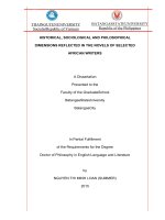 Khía cạnh lịch sử, xã hội và triết học phản ánh trong tiểu thuyết của một số nhà văn châu Phi