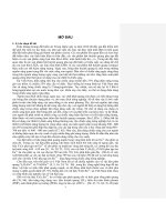 Nghiên cứu chế tạo bột huỳnh quang đất hiếm phát xạ đỏ Y2O3Eu3+ và cam - đỏ xa YAGEu3+ ứng dụng trong chế tạo đèn huỳnh quang chuyên dụng cho cây trồng (TT)