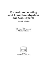 Forensic accounting and fraud investigation for non experts 2 ed by howard silverstone 