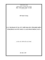 Các tội phạm về ma túy trên địa bàn tỉnh Điện Biên, Tình hình, nguyên nhân và giải pháp phòng ngừa (LA tiến sĩ)