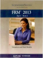FRM schweser part 1 book 4 2013 