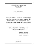 Đánh giá tiềm năng đối kháng thực vật (Allelopathy) của 20 giống lúa bản địa trên cỏ lồng vực (Echinochloa crus-galli) trong điều kiện phòng thí nghiệm