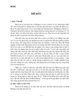 Luận văn, đồ án, đề tài tốt nghiệp   thiết kế hệ thống xử lý nước thải nhà máy chế biến tinh bột khoai mì bình dương trong điều kiện thực tế