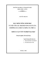 Đặc điểm nông sinh học và yếu tố cấu thành năng suất của 10 dòng lúa chất lượng (Vụ thứ 2)