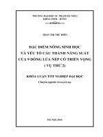 Đặc điểm nông sinh học và yếu tố cấu thành năng suất của 9 dòng lúa nếp có triển vọng (Vụ Thứ 2)