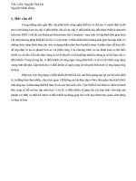 Thiết kế xe robot tự hành ứng dụng vi điều khiển AVR 