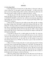 Phát triển kỹ năng dạy học toán cho sinh viên sư phạm theo chuẩn nghề nghiệp giáo viên thông qua nội dung “dạy học hàm số ở trường trung học phổ thông 