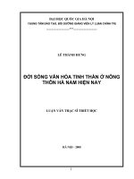 Đời sống văn hóa tinh thần ở nông thôn hà nam hiện nay 