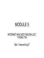 TÀI LIỆU VỀ INTERNET