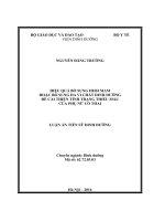 Hiệu quả bổ sung HEBI MAM  hoặc bổ sung đa vi chất dinh dưỡng để cải thiện tình trang thiếu máu của phụ nữ có thai .tt