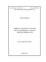 NGHIÊN CỨU ẢNH HƯỞNG CỦA GIÓ CẠNH TỚI ĐẶC TÍNH KHÍ ĐỘNG CỦA MÁY BAY TRONG QUÁ TRÌNH HẠ CÁNH
