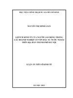 Lợi ích kinh tế của người lao động trong các doanh nghiệp có vốn đầu tư nước ngoài trên địa bàn thành phố Hà Nộ