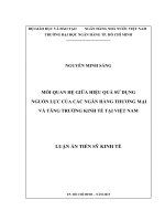 Mối quan hệ giữa hiệu quả sử dụng nguồn lực của các ngân hàng thương mại và tăng trưởng kinh tế tại Việt Nam