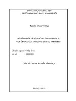 MÔ HÌNH HÓA VÀ MÔ PHỎNG ỨNG XỬ CƠ HỌC CỦA ỐNG VÀ TẤM MỎNG CÓ KÍCH CỠ NANO MÉT