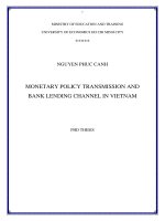 Monetary policy transmission and bank lending channel in Vietnam