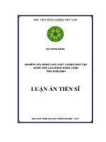 Nghiên cứu nâng cao chất lượng đào tạo nghề cho lao động nông thôn tỉnh Nam Định (LA tiến sĩ)