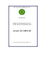 Nghiên cứu rủi ro trong sản xuất và tiêu thụ gia cầm tỉnh Bắc Giang (LA tiến sĩ)